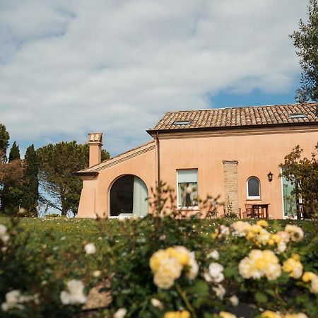 Bed and Breakfast Nontiscordardimé Civitanova Marche Exterior foto